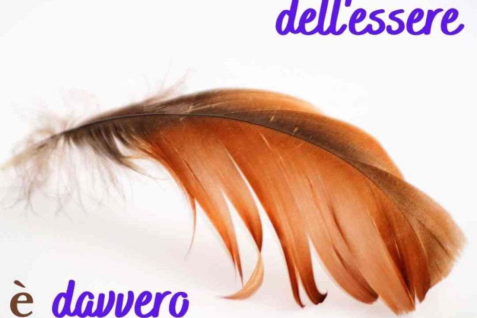 una piema che rappresenta la leggerezza dell'essere è insostenibile?